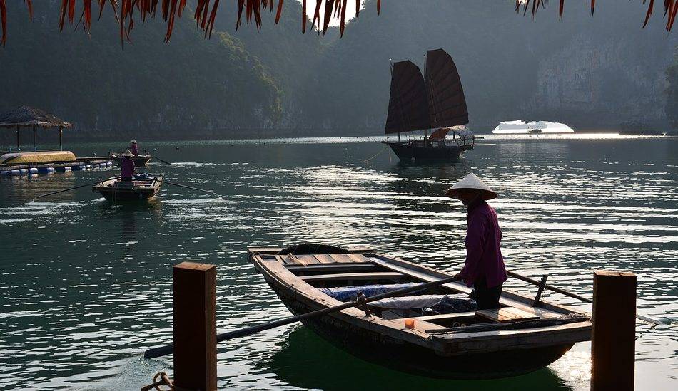 Vietnam Working Visa