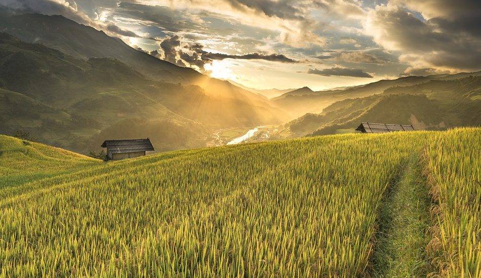 How to apply for a Vietnam Visa in Canada